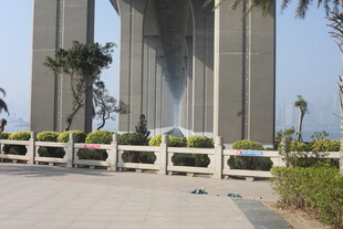 湛江宏伟桥梁下的绿植景观