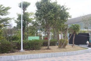 湛江户外绿植景观场景
