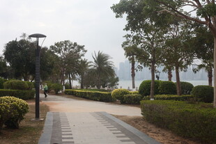 湛江海滨公园林荫步道景观