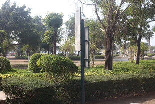 湛江城市公园中的绿植景观