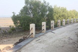 湛江乡村路旁的水泥护栏