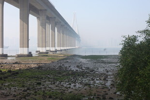 湛江跨海大桥远景