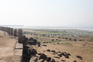 湛江海边石砌景观与瞭望设备