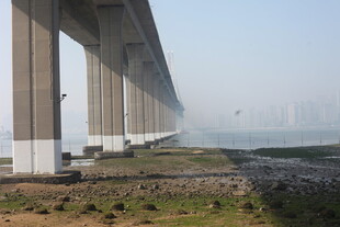 湛江跨海大桥近景