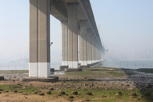 湛江跨海大桥远景