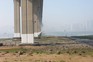 湛江江边大桥桥墩近景