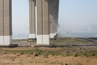 湛江宏伟桥梁屹立于开阔之地