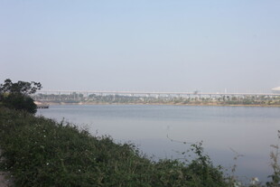 湛江宁静河畔风光