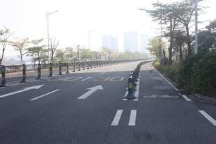 湛江空旷道路与路旁绿植景观