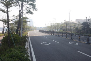 湛江空旷道路旁的绿植与护栏