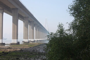 湛江河畔高架桥