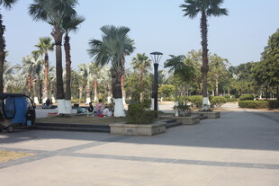 湛江城市中的静谧休闲广场