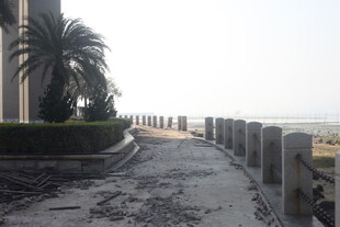 湛江海边破损步道与棕榈树