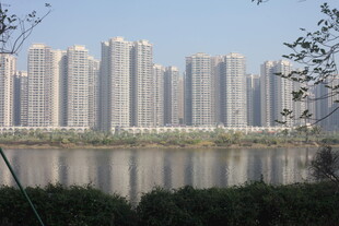 湛江湖畔高楼林立的城市景观