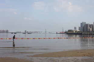 湛江海边城市浅滩处的独行者