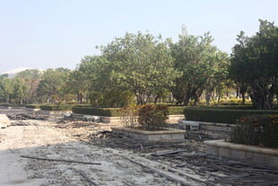 湛江户外园林景观施工现场