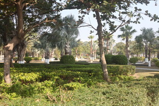 湛江绿意盎然的园林景观