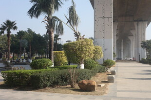 湛江户外园林景观 绿植与拱门