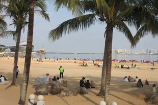 湛江热闹的海滨沙滩场景