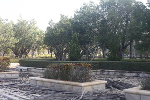 湛江户外园林景观场景