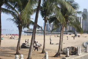 湛江海滨沙滩椰树下的休闲场景