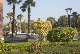 湛江城市公园绿植景观