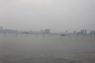 湛江雾中城市江畔朦胧景象