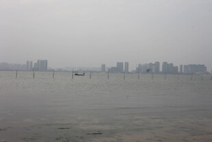 湛江雾中城市与水域景观