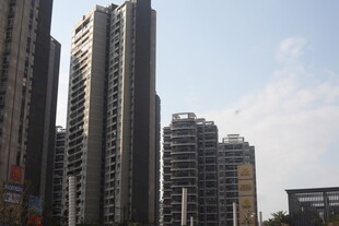 湛江城市高楼景观