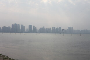 湛江江边城市天际线景观