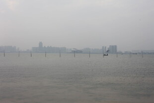 湛江雾中江面与远处城市景观