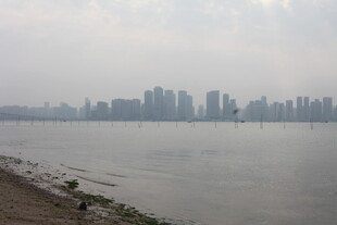 湛江江边城市天际线景观