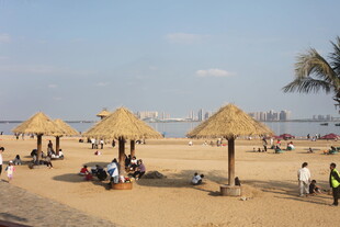 湛江沙滩休闲场景 遮阳伞下人群