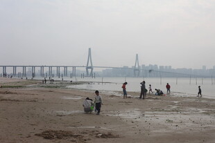 湛江江边浅滩处的人群活动