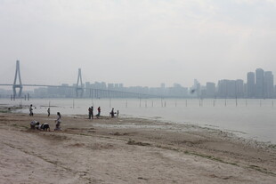 湛江江边城市风景 游人漫步