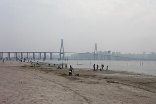 湛江江边大桥下的休闲场景