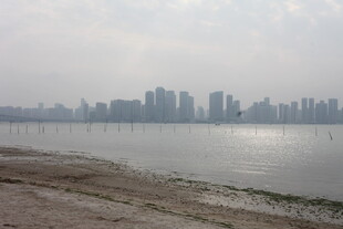 湛江江边城市景观远景