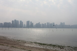 湛江城市湖畔风景