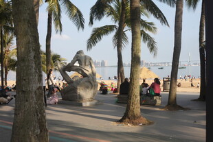 湛江海滨椰树下的休闲场景