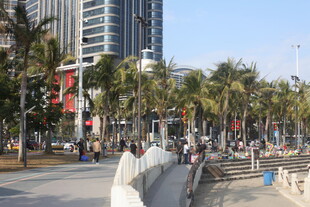 湛江城市街道旁的热闹人行道