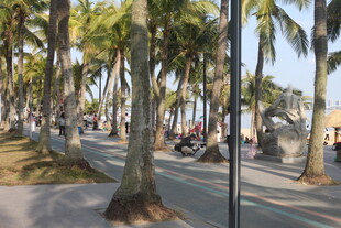 湛江海滨椰林旁的休闲街道