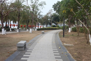 公园内的幽静小路