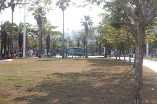 湛江城市中的开阔绿地景观