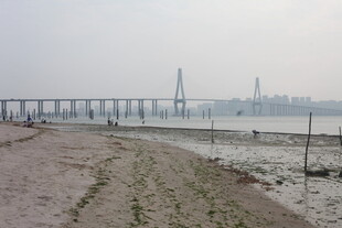 湛江海边长桥风景