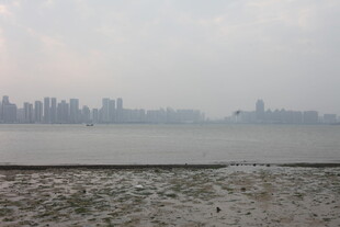 湛江海滨城市远景 滩涂与天际