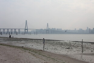 湛江江边大桥远景