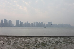 湛江城市江畔远景风光