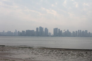 湛江海滨城市天际线景观