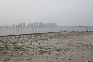 湛江海滨城市远景沙滩景象