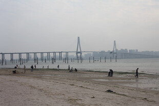 湛江海边大桥下的休闲场景